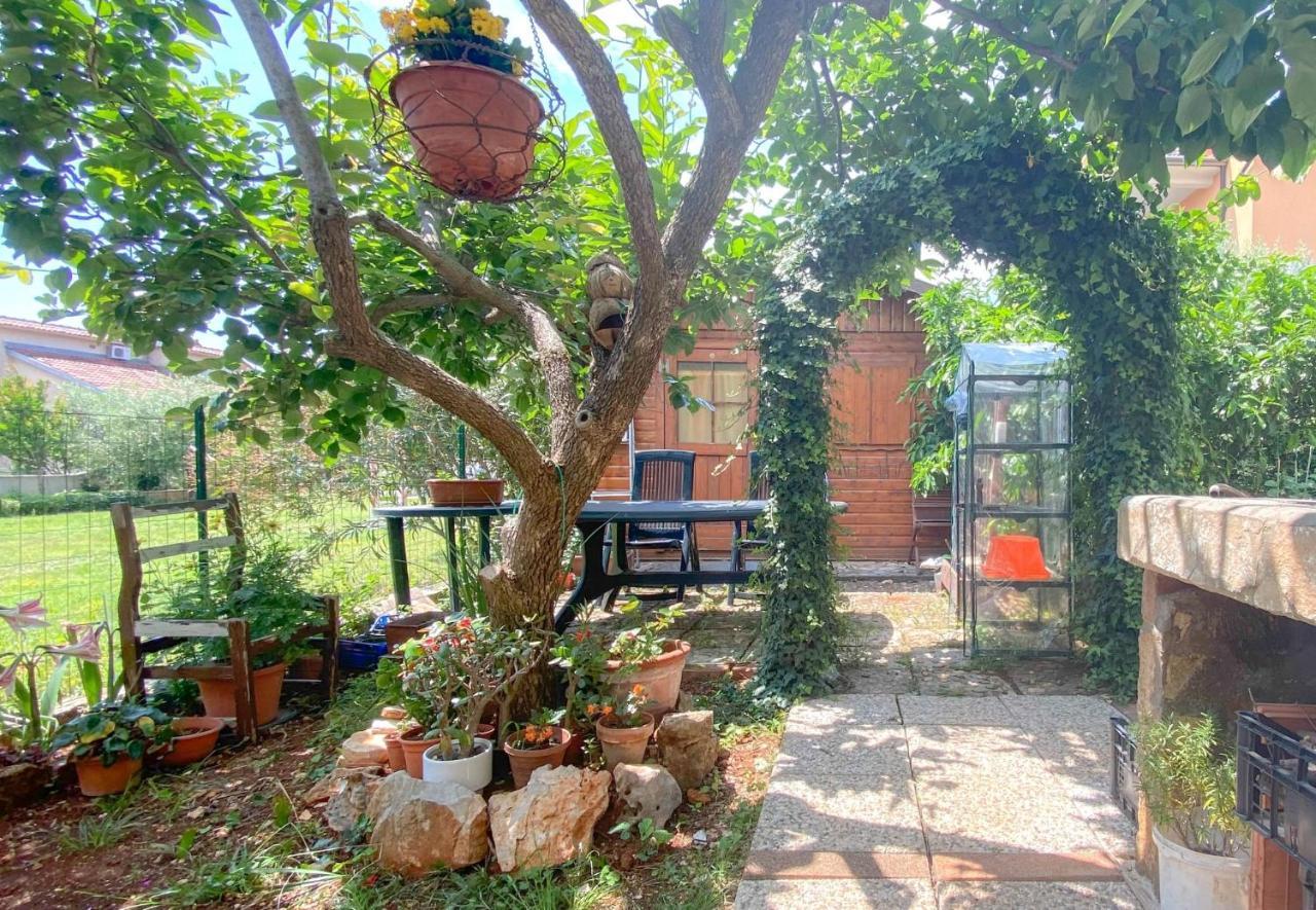 Ferienwohnung Santo Novigrad Istria Exterior foto